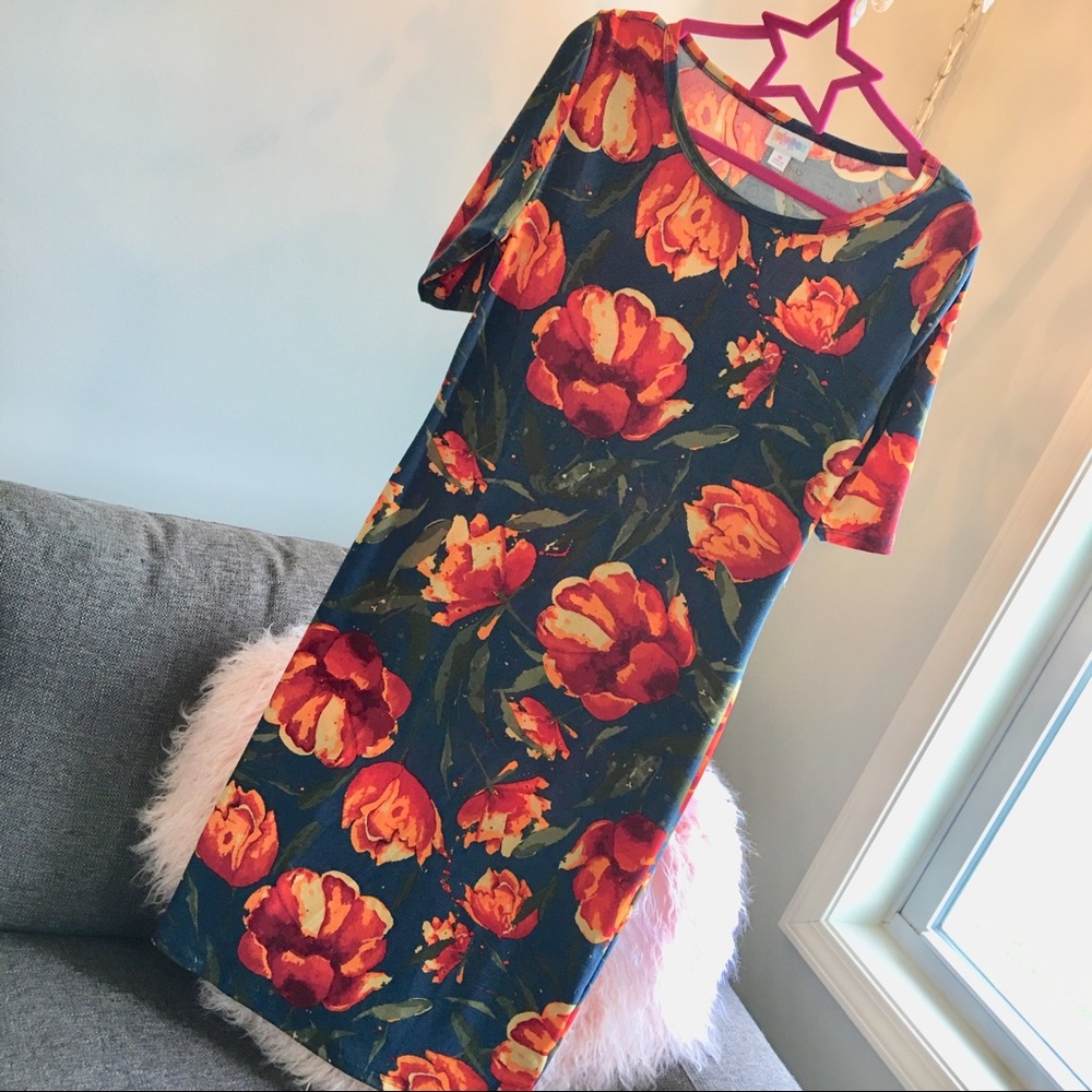NWT LuLaRoe Size Medium Floral Julia Dress